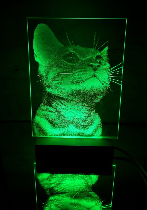 3D LED Night Light - Image 5