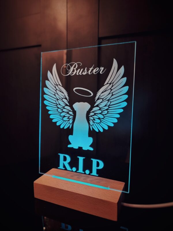 LED Memorial Light - Image 3