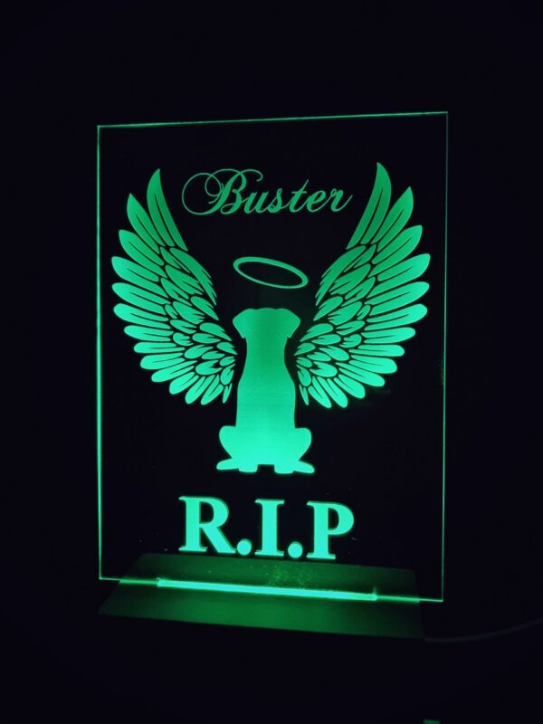 LED Memorial Light